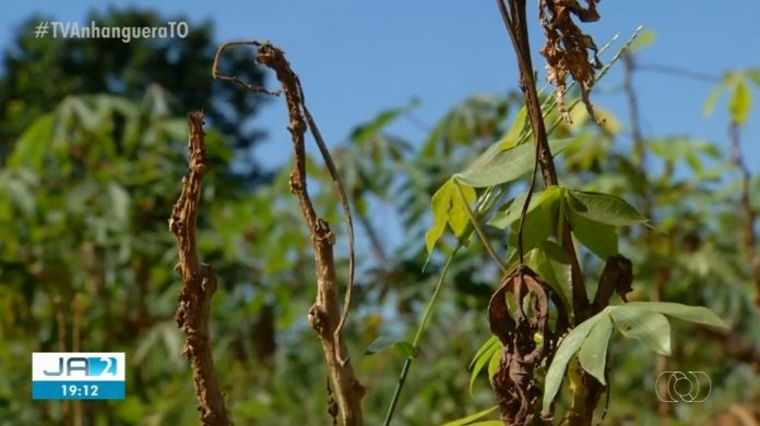 seca-sao-joao
