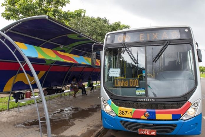 onibus-palmas-1