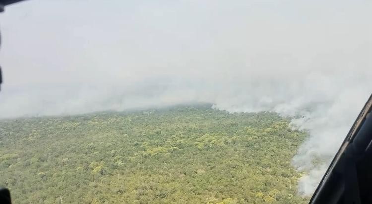 Incêndios na Ilha do Bananal ameaçam aldeias e indígenas se revezam para evitar que fogo chegue às casas