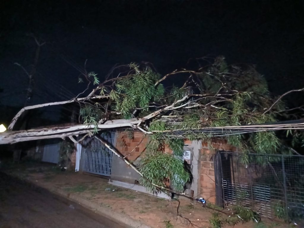 Chuva forte durante a madrugada causas estragos em Palmas